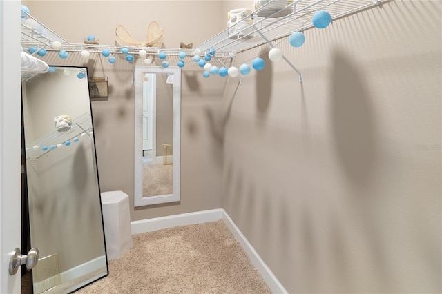 6243 SW 46th Dr, Gainesville, FL 32608 - spacious closet with carpet flooring