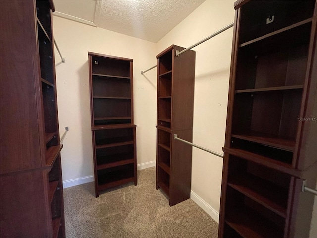 8216 NW 54th St, Gainesville, FL 32653 - walk in closet with carpet