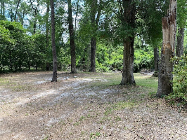 20235 NW 257th Ter, High Springs, FL 32643 - photo 26