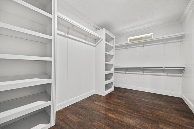 spacious closet featuring wood finished floors