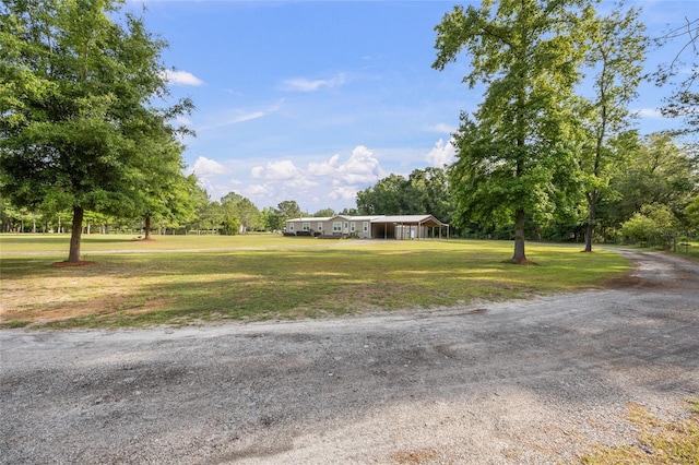 view of grassy yard featuring driveway, a detached carport, and view of wooded area