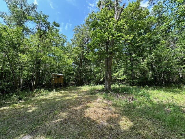 12100 NW US Highway 441, Gainesville, FL 32653