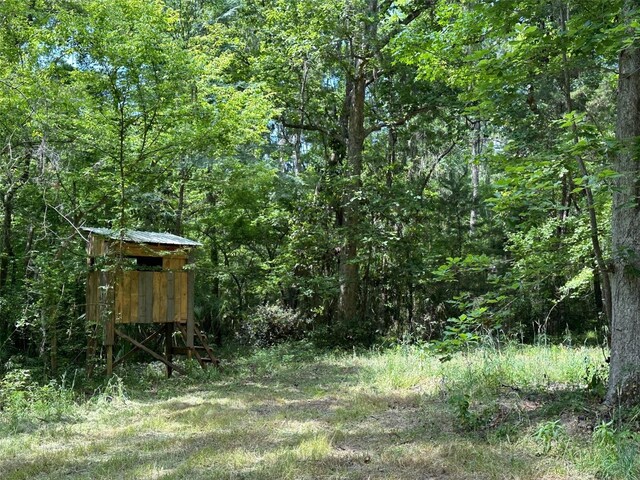 12100 NW US Highway 441, Gainesville, FL 32653