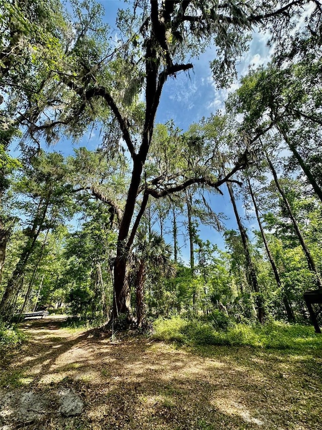 12100 NW US Highway 441, Gainesville, FL 32653