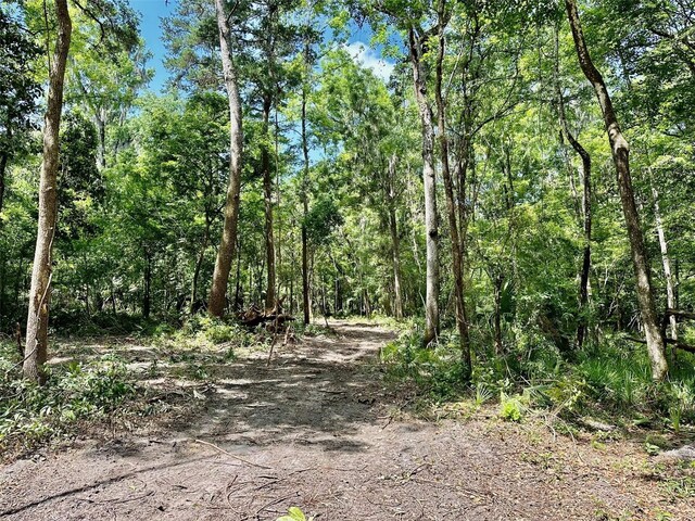 12100 NW US Highway 441, Gainesville, FL 32653