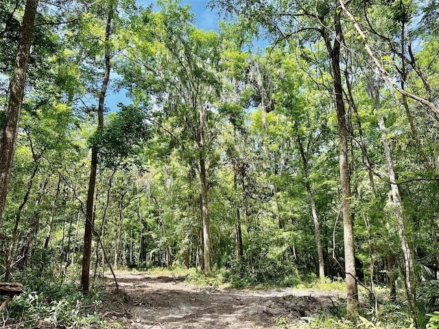12100 NW US Highway 441, Gainesville, FL 32653