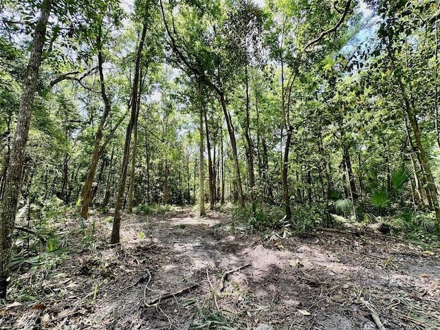 12100 NW US Highway 441, Gainesville, FL 32653