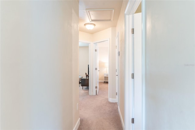 3242 NW 23rd Rd, Gainesville, FL 32605 - corridor featuring light colored carpet, attic access, and baseboards