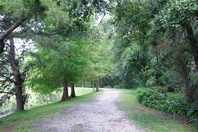 3242 NW 23rd Rd, Gainesville, FL 32605 - view of community featuring a forest view