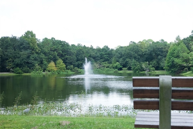 3242 NW 23rd Rd, Gainesville, FL 32605 - water view with a heavily wooded area
