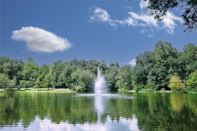 3242 NW 23rd Rd, Gainesville, FL 32605 - water view featuring a forest