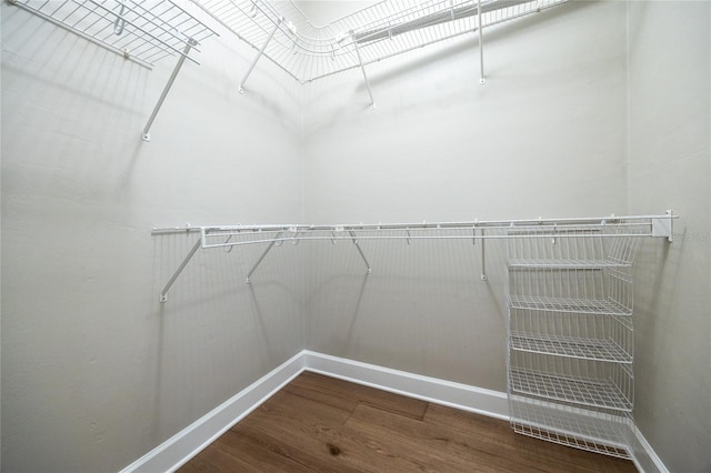 13209 SW 3rd Ln, Newberry, FL 32669 - spacious closet featuring wood finished floors