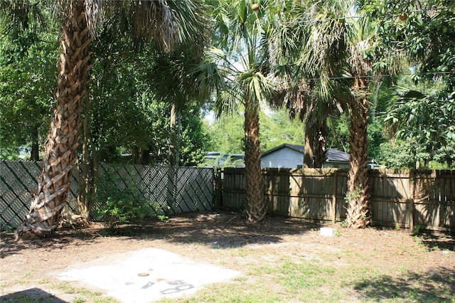1226 NE 17th Ave, Gainesville, FL 32609 - view of yard