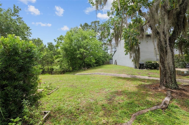 view of grassy yard