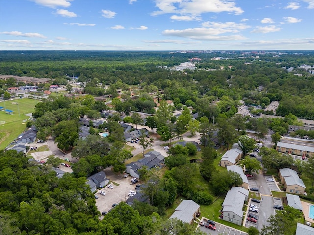 bird's eye view of a forest