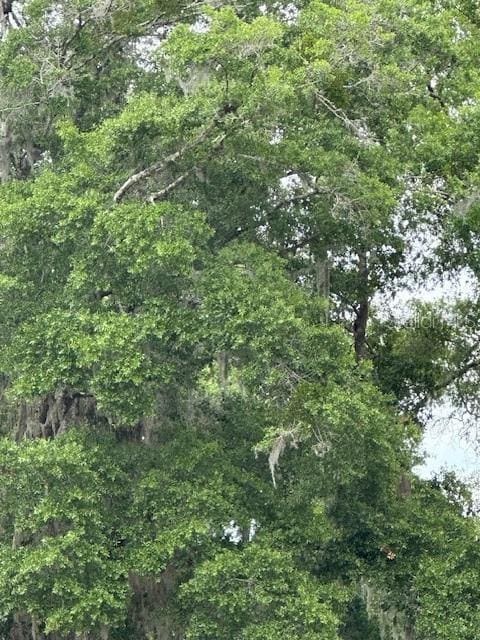 3406 SE 15th Ave, Gainesville, FL 32641