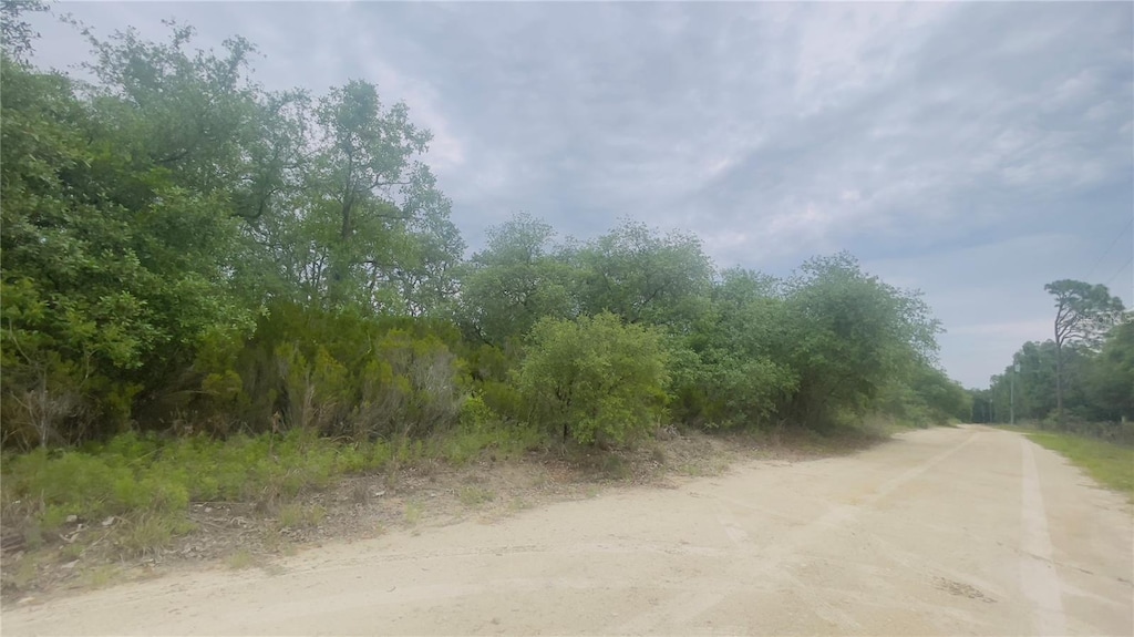 LOT115 NE 87th Pl, Bronson, FL 32621