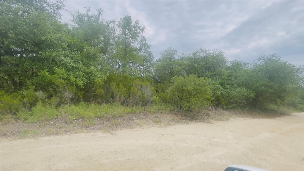 LOT115 NE 87th Pl, Bronson, FL 32621