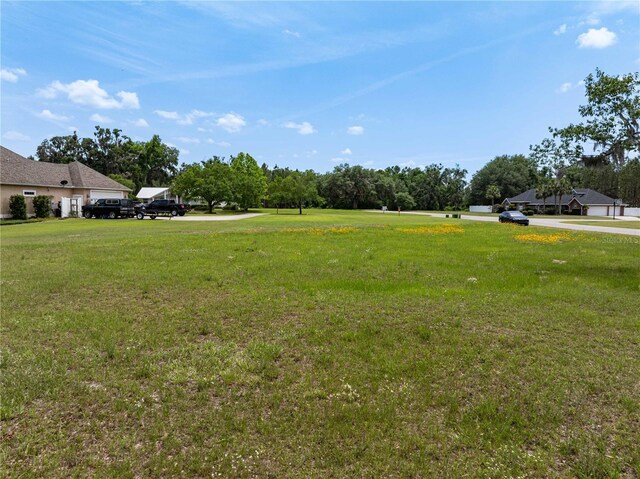7470 65th Dr, Live Oak, FL 32060 - photo 44