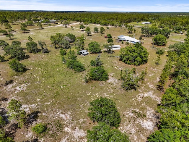 7450 SE State Road 121, Morriston, FL 32668 - view of property location with a heavily wooded area