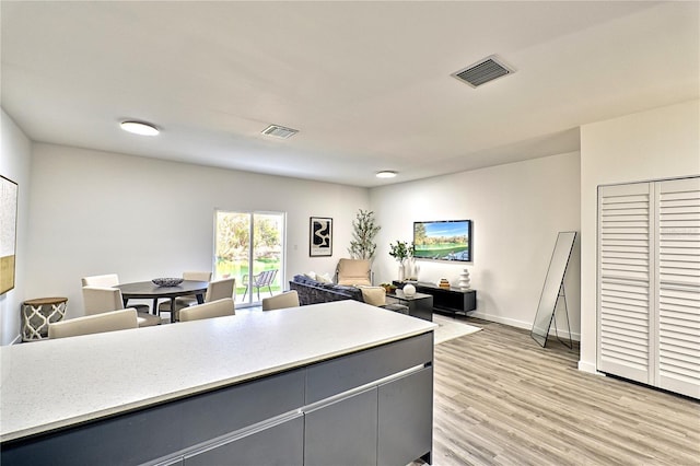 1601 NW 29th Rd Unit 2, Gainesville, FL 32605 - kitchen with gray cabinets, light wood-style floors, light countertops, and baseboards