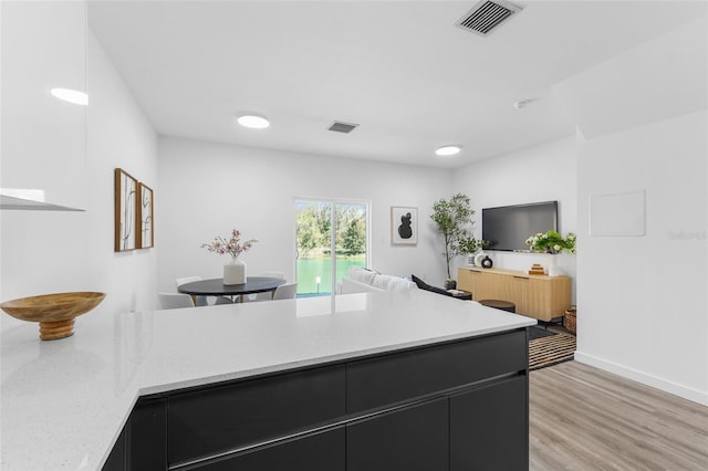 1601 NW 29th Rd Unit 2, Gainesville, FL 32605 - kitchen featuring dark cabinets, light wood finished floors, open floor plan, baseboards, and light stone countertops