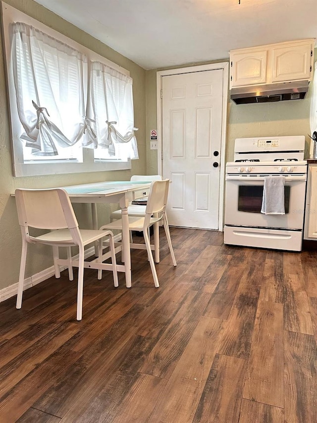 2529 SE 11th Ave, Gainesville, FL 32641 - dining room featuring dark wood-style floors