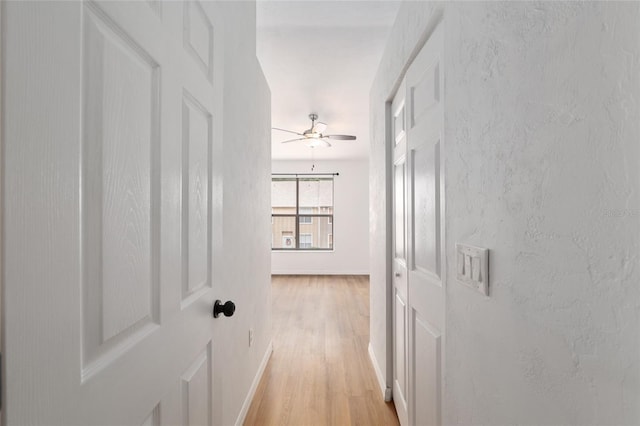 4415 SW 34th St Unit 503, Gainesville, FL 32608 - hall with light wood-style floors and baseboards