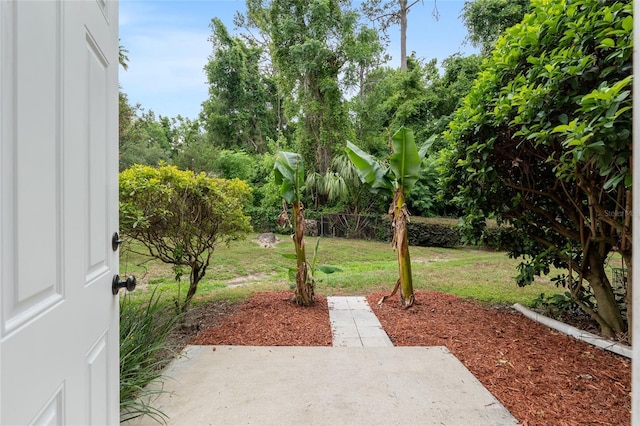4415 SW 34th St Unit 503, Gainesville, FL 32608 - view of grassy yard with a patio area