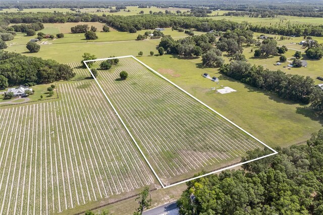 0000 NW 142nd Ave, High Springs, FL 32643 - photo 4