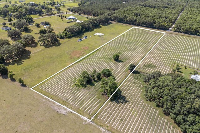 0000 NW 142nd Ave, High Springs, FL 32643 - photo 5