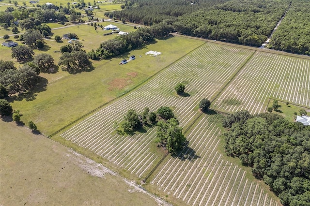 0000 NW 142nd Ave, High Springs, FL 32643 - photo 6