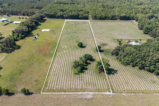 0000 NW 142nd Ave, High Springs, FL 32643 - photo 7