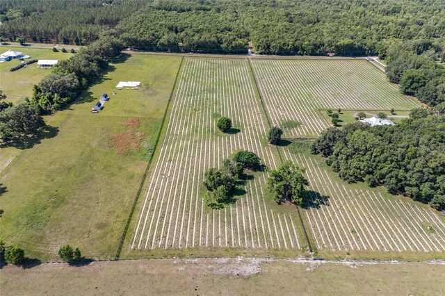 0000 NW 142nd Ave, High Springs, FL 32643 - photo 8