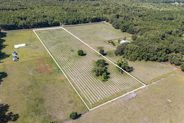 0000 NW 142nd Ave, High Springs, FL 32643 - photo 9