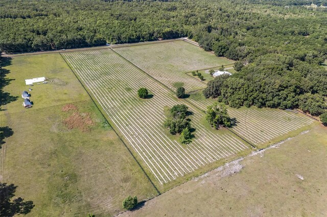 0000 NW 142nd Ave, High Springs, FL 32643 - photo 10