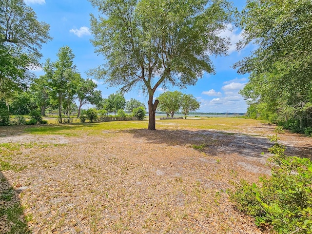 7972 State Rd Unit 100, Keystone Heights, FL 32656 - view of yard
