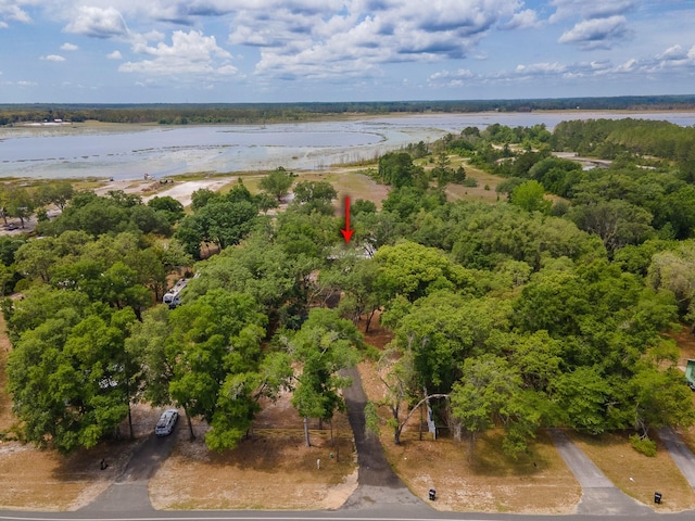 7972 State Rd Unit 100, Keystone Heights, FL 32656 - aerial view of a large body of water