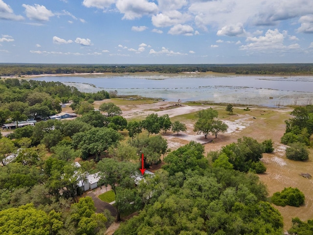 7972 State Rd Unit 100, Keystone Heights, FL 32656 - aerial view of a large body of water