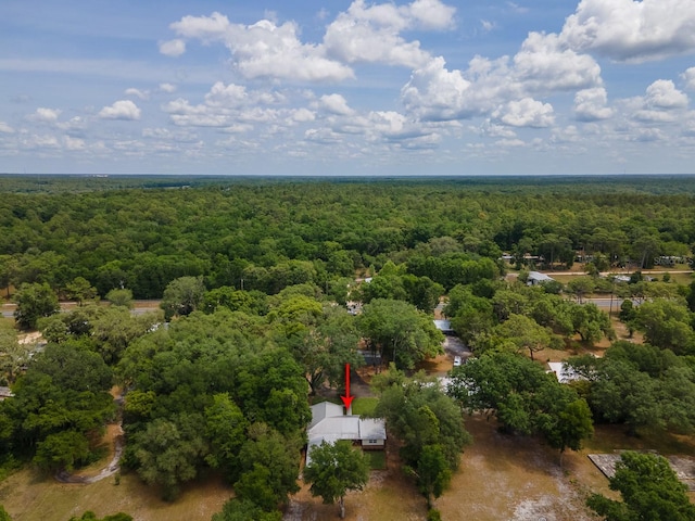 7972 State Rd Unit 100, Keystone Heights, FL 32656 - bird's eye view of a heavily wooded area