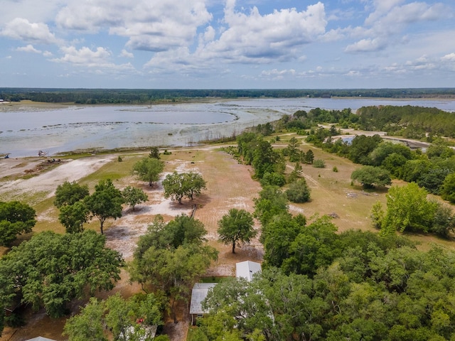 7972 State Rd Unit 100, Keystone Heights, FL 32656 - bird's eye view of a large body of water