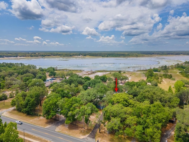 7972 State Rd Unit 100, Keystone Heights, FL 32656 - drone / aerial view of a large body of water