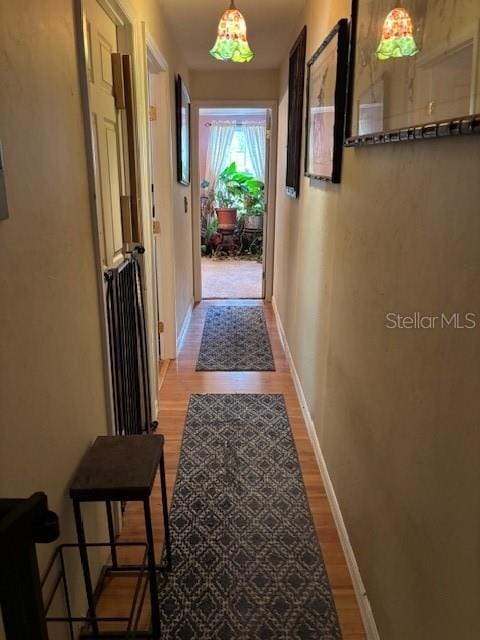 6410 SW 170th St, Archer, FL 32618 - hallway with light wood-type flooring and baseboards