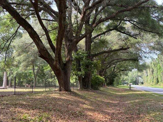6410 SW 170th St, Archer, FL 32618 - view of yard