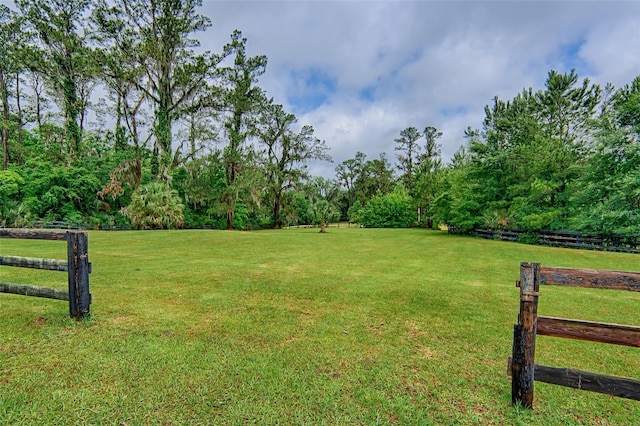 20250 NW 71st Ct, Micanopy, FL 32667 - view of yard