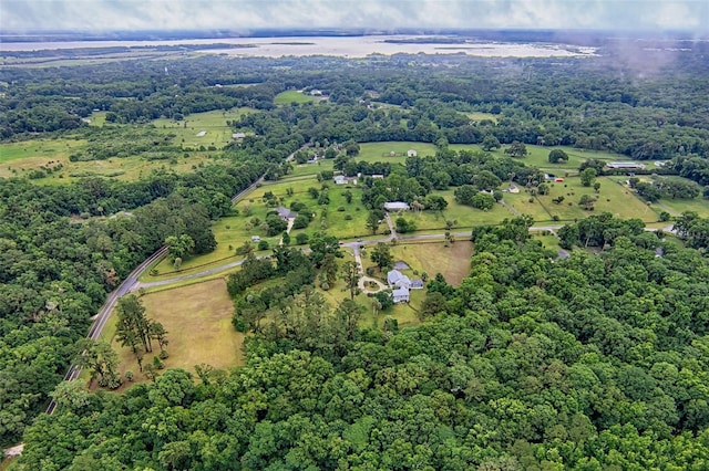 20250 NW 71st Ct, Micanopy, FL 32667 - view of rural area