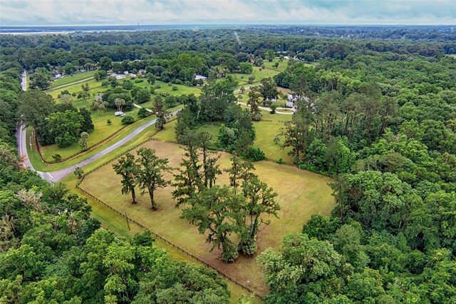 20250 NW 71st Ct, Micanopy, FL 32667 - aerial view of property's location