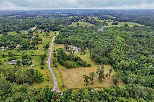 20250 NW 71st Ct, Micanopy, FL 32667 - aerial view of property's location with a forest
