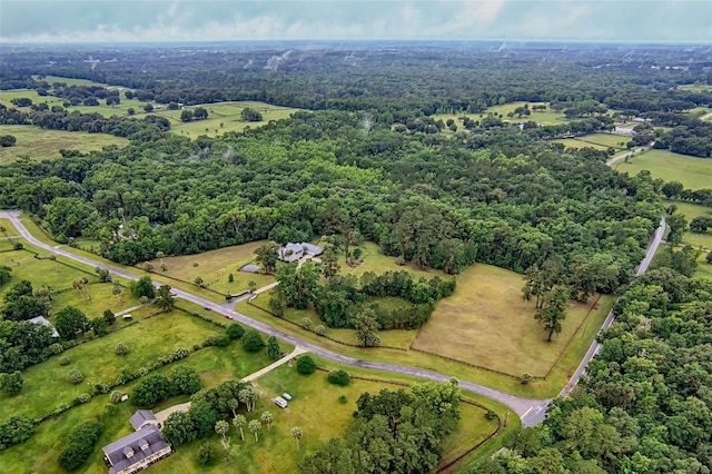20250 NW 71st Ct, Micanopy, FL 32667 - aerial view of property's location featuring a heavily wooded area