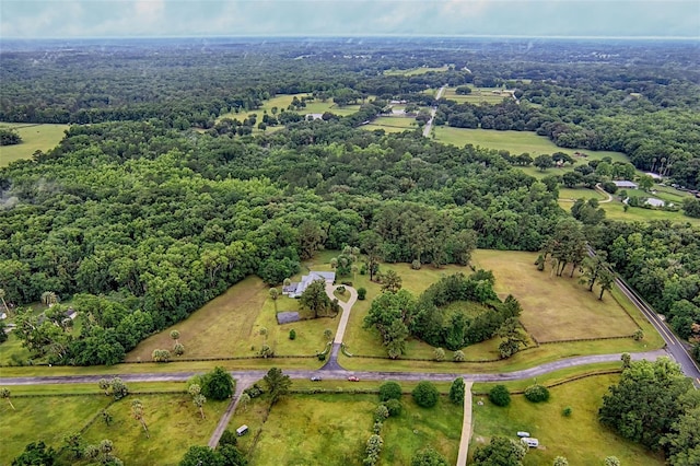 20250 NW 71st Ct, Micanopy, FL 32667 - view of property location featuring a heavily wooded area